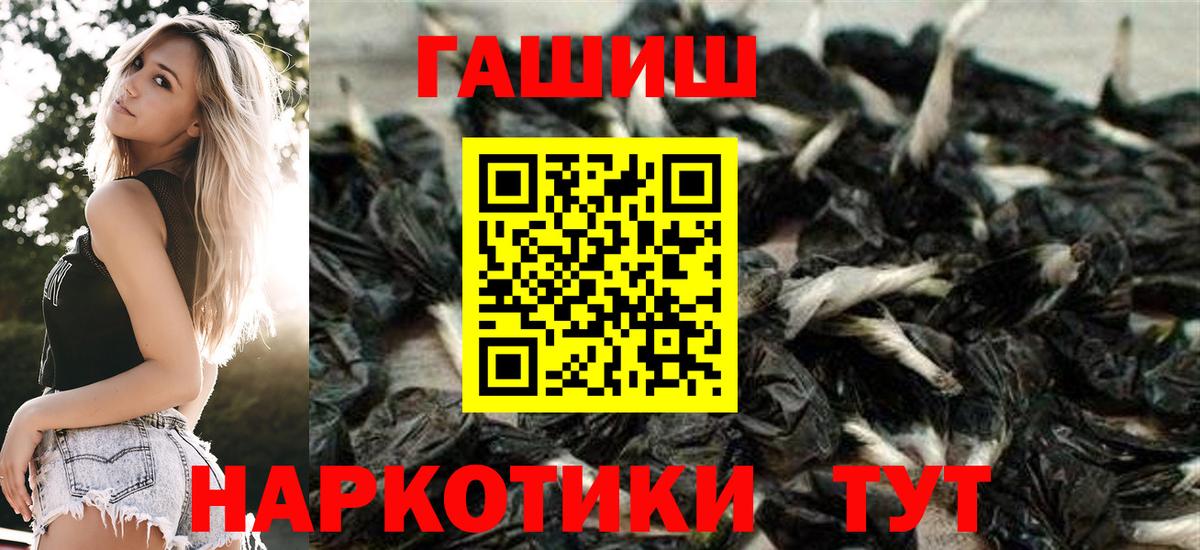 ГАШ Premium Мценск