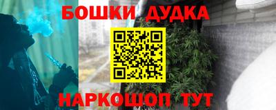 индика Заводоуковск