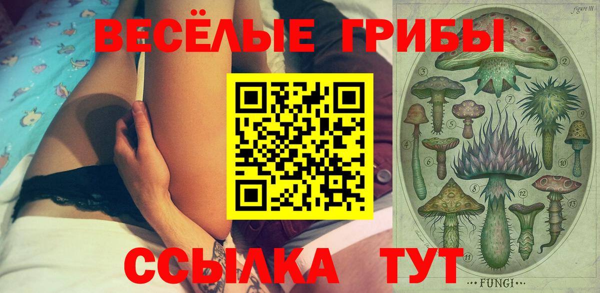 Псилоцибиновые грибы Magic Shrooms Мценск