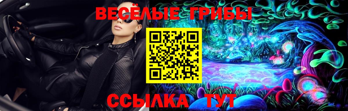 где продают   Псилоцибиновые грибы Magic Shrooms  Вход с VPN  Мценск 